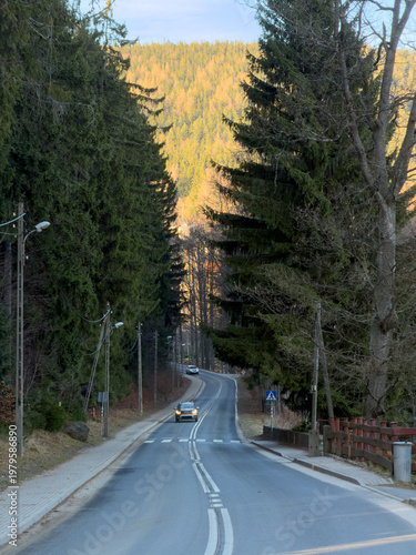 Winding road with cars driving through a scenic mountain forest, flanked by tall evergreen trees, showing a tranquil journey with distant golden foliage