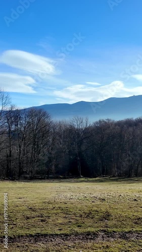 Green meadow meets tranquil bare forest with misty mountains under a brilliant blue sky, depicting serene winter nature and peaceful outdoor scenic beauty. Vertical