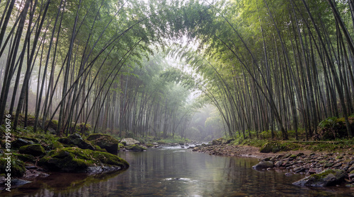 4K Ultra Realistic Misty Bamboo Forest With Stream Flowing Through Rocks For Serene Nature Backgrounds