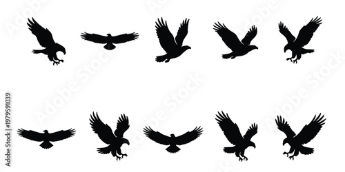 Black eagle silhouette collection, set of 10 flying hawk vector icons, predatory bird silhouettes in flight, soaring falcon and raptor shapes