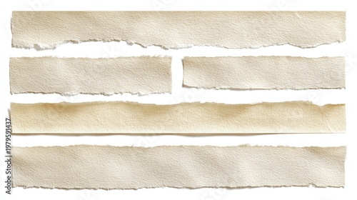 Collection of beige paper scraps with torn edges, on a clean white background
