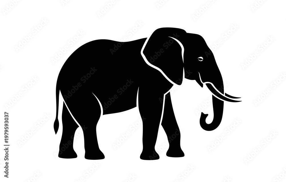 Fototapeta premium Silhouette of an elephant on a white background