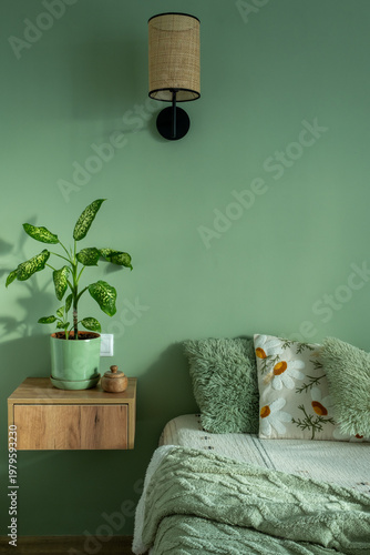 Composition of warm green bedroom  with  bed, shelf,plants .  lamp. Beautiful bed blanket and pillows.Design home decor. Real photo