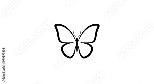 A delicate butterfly illustration spreads its wings in a minimalist environment.