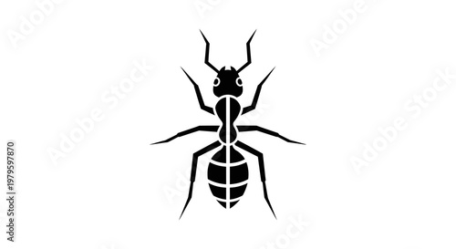 Detailed illustration of an ant standing alone in a neutral environment viewed from a side angle