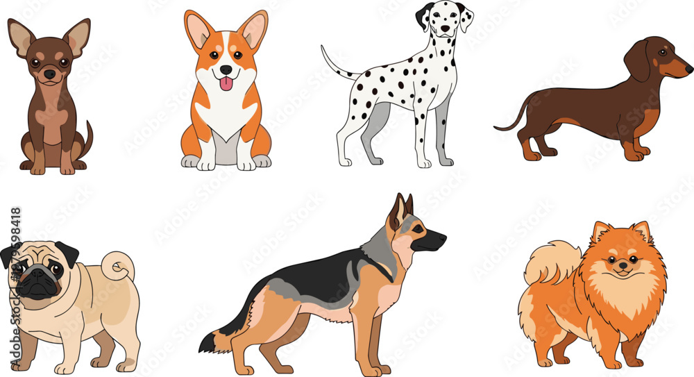 Obraz premium 8Cute Dog Breeds Collection Featuring Chihuahua Corgi Dalmatian Dachshund Pug German Shepherd and Pomeranian Cartoon Style Vector Illustration.