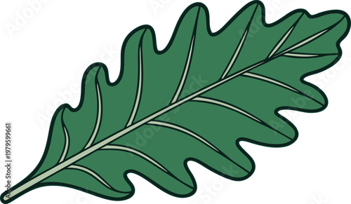 Oak Leaf an Acorn Botanical Set. Oak Tree Leaf and Acorn Collection. Autumn Oak Leaf Acorn Design Set. Oak Leaf and Acorn Illustration Set. Natural Oak Leaf Acorn Art Collection. Oak Tree Botanical