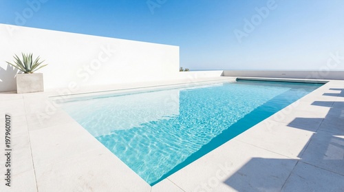 Modern outdoor swimming pool with clear blue water, white tiled deck, minimalist walls, and succulent planter under bright sunlight and clear sky