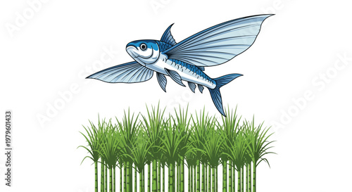 Flying fish jumping over dense green sugarcane fields vector graphic isolated on white background