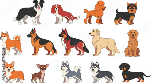 Cute Dog Breeds Collection Set Featuring Pug Bulldog Beagle Dachshund Spaniel and Mixed Puppies in Flat Cartoon Style Vector Illustration for Pet Design.