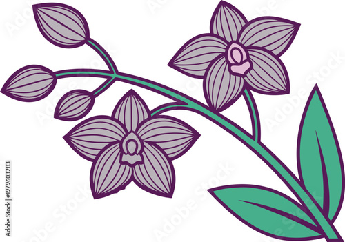 Orchid Flower Botanical Study Set. Elegant Orchid Blossom Collection. Orchid Bloom Floral Illustration Set. Tropical Orchid Plant Drawing Set. Orchid Flower Line Art Collection. Natural Orchid Blossom