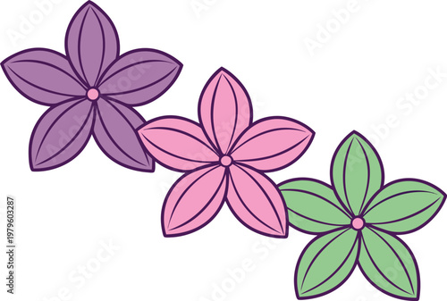 Orchid Flower Botanical Study Set. Elegant Orchid Blossom Collection. Orchid Bloom Floral Illustration Set. Tropical Orchid Plant Drawing Set. Orchid Flower Line Art Collection. Natural Orchid Blossom