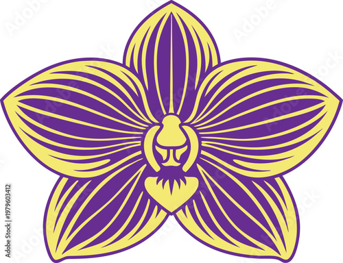 Orchid Flower Botanical Study Set. Elegant Orchid Blossom Collection. Orchid Bloom Floral Illustration Set. Tropical Orchid Plant Drawing Set. Orchid Flower Line Art Collection. Natural Orchid Blossom