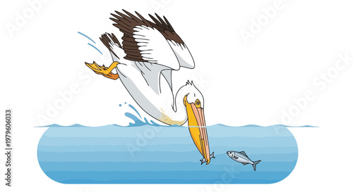 Pelican diving into blue water to catch a small fish for dinner isolated on white background