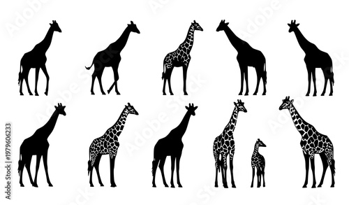 Giraffe Safari Silhouettes Vector Set African Zoo Animal Graphic Collection