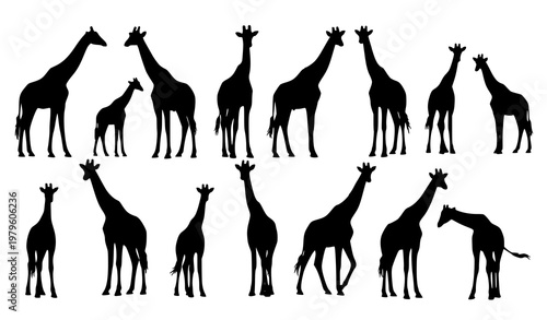 Giraffe Silhouettes Vector Set African Wildlife Zoo Animal Collection