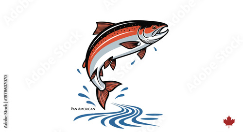 Pan American salmon leaping out of water vector illustration isolated on white background