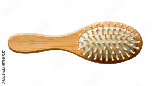 Tableau sur toile Wooden hairbrush with rounded handle and numerous small pins
