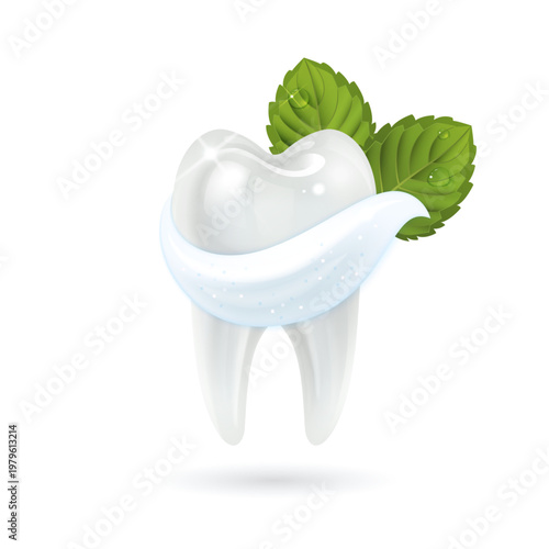 White Tooth with Toothpaste and Mint Leaves