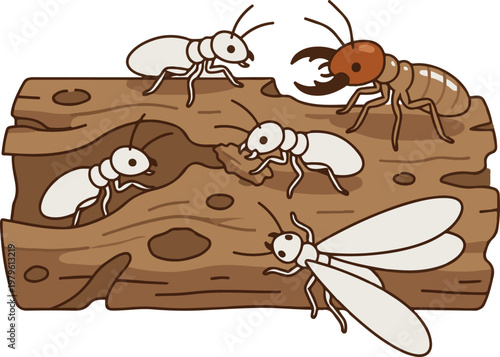 Detailed EPS illustration of termites infesting and feeding on a wooden log, showing different termite types in a cartoon educational style.