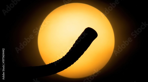 Stark Dark Silhouette of Shofar against Bright Rising Sun Disk at Dawn, Solemn Iconic Outline, Simple Palette High Contrast, Jewish Religious Symbol