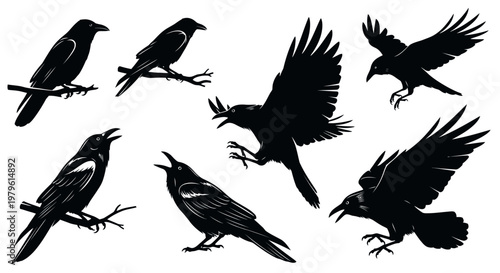 Collection of Black Raven Silhouettes in Various Poses Sitting and Flying