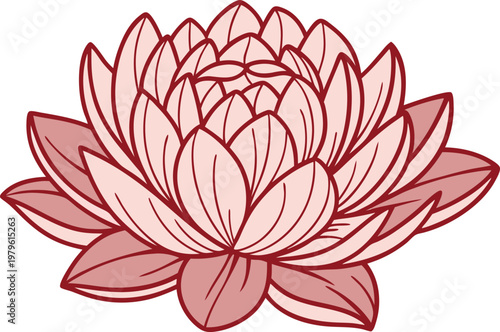 Peony Flower Botanical Study Set. Elegant Peony Blossom Collection. Peony Bloom Floral Illustration Set. Peony Flower Line Art Collection. Natural Peony Blossom Design Set. Peony Garden Flower Study