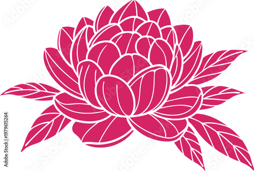 Peony Flower Botanical Study Set. Elegant Peony Blossom Collection. Peony Bloom Floral Illustration Set. Peony Flower Line Art Collection. Natural Peony Blossom Design Set. Peony Garden Flower Study