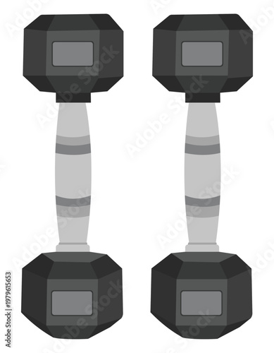 Front view dumbbells pair fitness equipment vector illustration