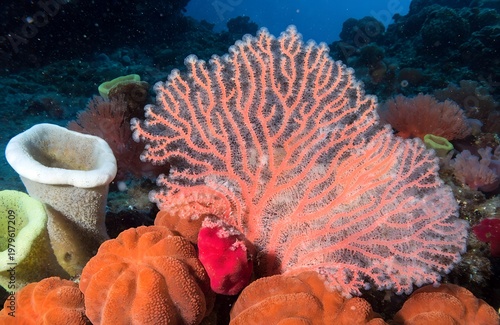 Vibrant Coral Reef Close-Up with Soft Coral and Marine Life – Underwater Macro Photography