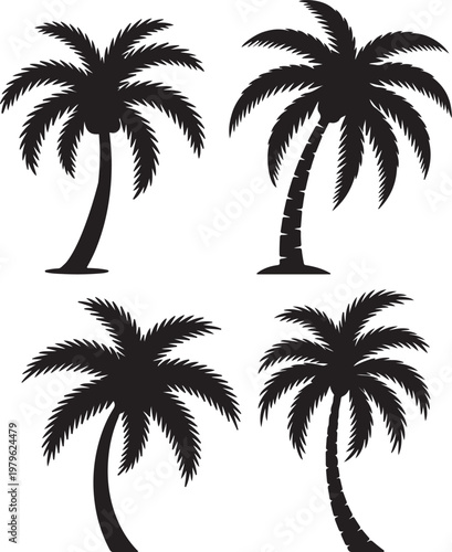 Palm Tree Silhouette, vector and illustration Silhouettes