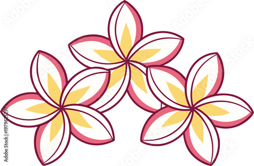 Plumeria Frangipani Flower Botanical Set. Frangipani Blossom Floral Illustration Set. Plumeria Flower Bloom Design Collection. Tropical Frangipani Flower Study Set. Plumeria Blossom Line Art Set.