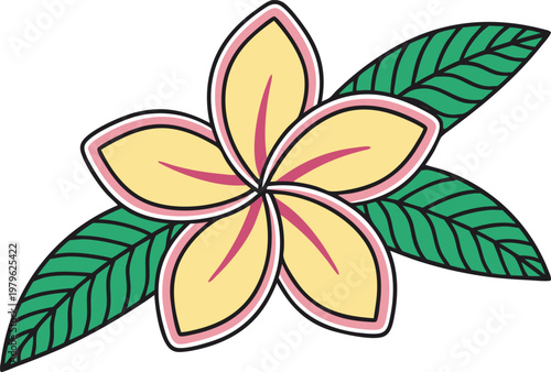 Plumeria Frangipani Flower Botanical Set. Frangipani Blossom Floral Illustration Set. Plumeria Flower Bloom Design Collection. Tropical Frangipani Flower Study Set. Plumeria Blossom Line Art Set.