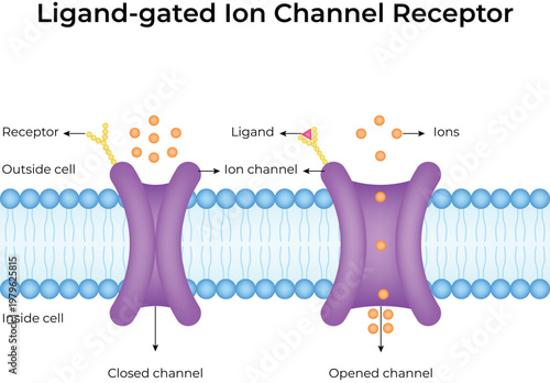 Tableau sur toile Ligand-gated Ion Channel Receptor Design Vector