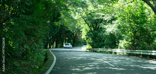 車　ドライブ　新緑　山道　カーブ