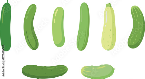 Set of cucumber illustrations in different shapes and shades of green, flat vector vegetable collection with fresh organic cucumbers isolated on light background