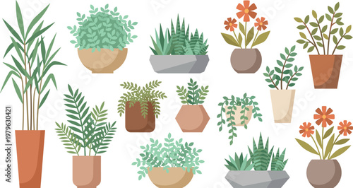 Set of indoor potted plants with leafy foliage, succulents and flowers in modern flat vector style, home decor botanical collection