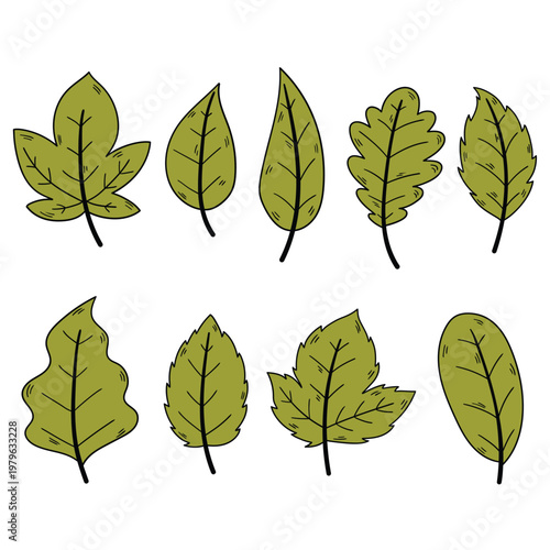 Hand-drawn cartoon set of green leaves on a white background.