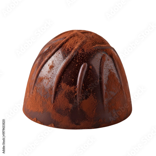 Chocolate truffle dusted with cocoa powder