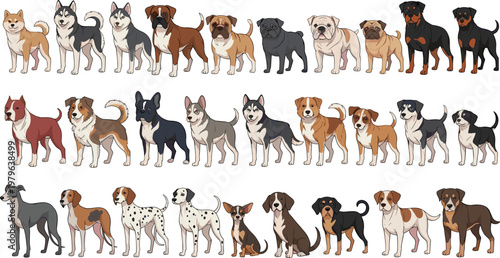 Large Dog Breeds Collection Set Featuring Husky Bulldog Pug Rottweiler Dalmatian and Mixed Breeds in Flat Cartoon Style Vector Illustration for Pet Design.