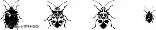 A symmetrical shield bug nymph with a rounded form, bold black shape, crisp contours, and a pristine white background, rendered in minimalist flat vector art for auto tracing