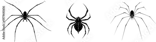 A symmetrical sea spider with long spindly legs is depicted in bold solid black against a pure white background, showcasing minimalist flat vector art with flawless sharp edges and high contrast