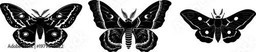 A symmetrical promethea silkmoth with bold solid black wings against a pure white background showcases perfect crisp contours in minimalist flat vector art, highlighting flawless sharp edges and high