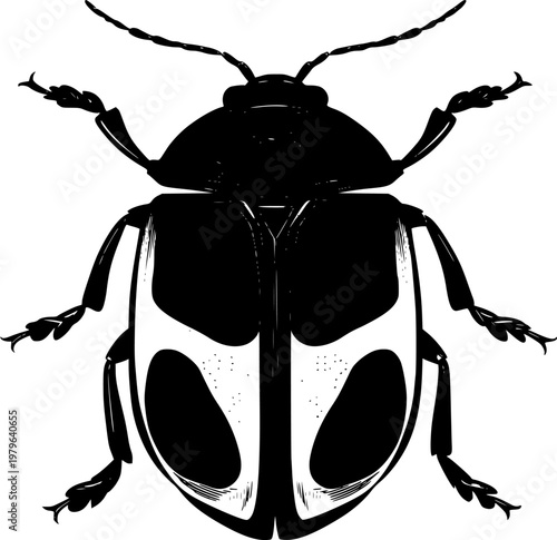 A symmetrical tortoise beetle in a minimalist flat vector art style showcases bold solid black shapes against a pure white background with crisp contours and flawless sharp edges for auto tracing