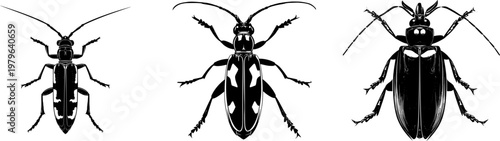 A symmetrical soldier beetle broad form in bold solid black shape with perfect crisp contours against a pure white background