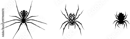 A symmetrical wolf spider carrying tiny babies on its back is depicted in bold solid black against a pure white background, showcasing crisp contours and flawless sharp edges in minimalist flat