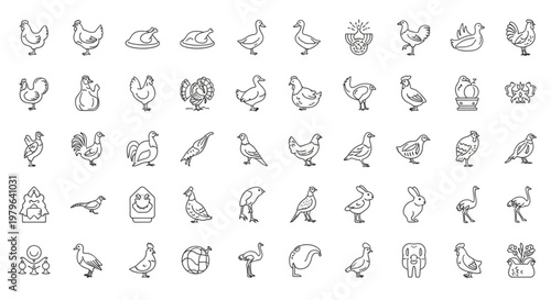 The illustration shows various chickens and roosters in different poses and actions on a white background.