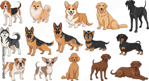 Open Book Page with Japanese Text About Ethernet LAN Technology and Networking Concepts for Education and Information Technology Background Design.