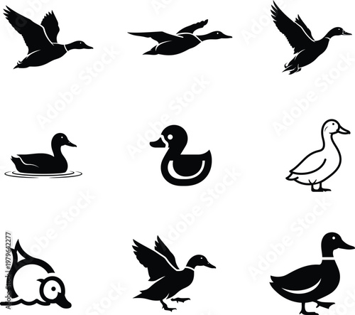 Collection of various duck silhouettes and illustrations in different poses