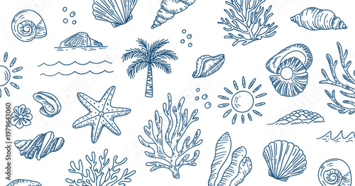 Hand drawn marine elements collection, ocean doodle set with shells coral palm tree
